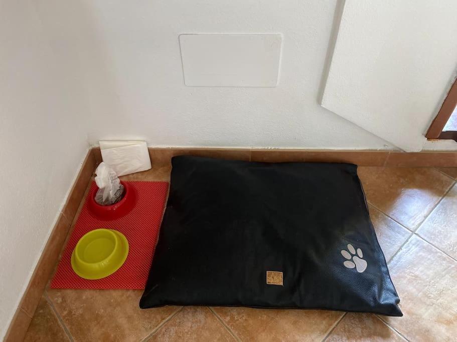 Casa Gina Apartment ปอร์โตตอร์เรส ภายนอก รูปภาพ